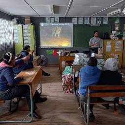 Research feedback to local schools